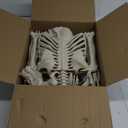 Lukbera Life Size Posable Skeleton Decoration, Full Size Plastic Human Bones with Dog Skeleton, 5.4ft Movable Joints for Haunted House Graveyard Decor