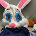 Adult Easter Bunny Costume, Deluxe Rabbit Plush Mascot Outfit with Head, Plaid Shirt, Overalls, Medium