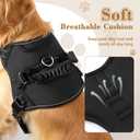 NOYAL Dog Lift Harness for Senior & Injured Pets Full-Body Support Sling with Breathable Mesh, Front/Rear Leg Assist for Arthritis, Hip Dysplasia & Post-Surgery Recovery (Large)
