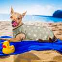 Lightweight Breathable Dog Cooling Shirts, Quick Dry Dog Sunscreen T-Shirt, Professional Pet Summer Vest for Small Medium Large Girl Boy Dogs