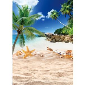 Summer Beach Ocean Backdrop Summer Outdoor Blue Sky Palm Tree Photography Background Beach Wedding Birthday Party Decoration 8x10FT (8x10FT(width 240cm x Height 300cm))