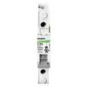 Miniature Circuit Breakers, B1H UL 489, 1P, D Curve, 1.6A, 10 kA, 277 Vac, Box Lug 1000753 B1H1D1.6