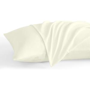 Pillowcase 16 x 22 Inch, Egyptian Cotton Set of 2 Pillowcase Zipper Closure 600 Thread Count Count - Travel 16x22 Zipper, Ivory Solid