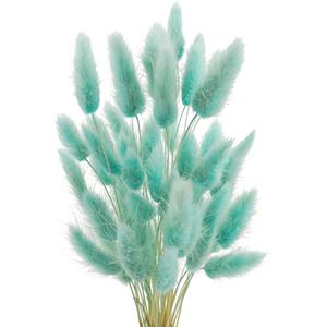 Uieke 120 Pcs Bunny Tails Dried Flowers, 17 Dried Lagurus Ovatus, Dried Foxtail Grass for Flower Arrangements Wedding Centerpieces Home Boho Baby Shower Party Decorations (Teal Blue)