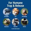 HAVAHART 1079SR Large 1-Door Humane Catch and Release Live Animal Trap Cage - Live Raccoon Trap, for Bobcats, Beavers, Dogs, & More 32.29"L x 13.1"W x 11.1"H