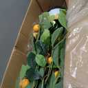Jexine 2 Pack Artificial Lemon Tree 5 ft Tall Fake Plant Pre Potted Faux Lemon Tree Realistic Fruits for Indoor Home Decor Office Living Room