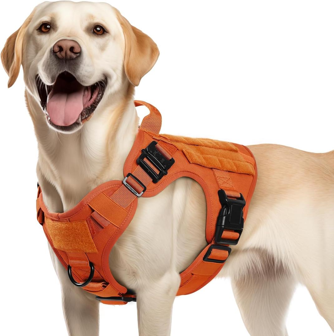 rabbitgoo Tactical Dog Harness Medium Sized, Heavy Duty Pet Harness with Handle, No-Pull Service Vest Medium Breed, Adjustable Military Dog Vest for Training Hunting Walking, Orange, M