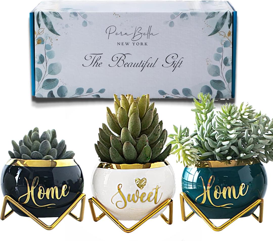 Housewarming Gifts: Best Home Essentials for New House - Farmhouse Living Room Decor | 3 Succulent Pots for Plant Lovers (One Size) (Home Sweet Home)