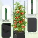 4 Pack Tomato Cages, 55inch Square Tomato Trellis with 17 Gallon Grow Bags, Tomato Plant Support Stakes for Garden Climbing Vegetables Flowers Fruits
