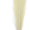 MECCANIXITY 12Pcs Faux Pampas Grass,21"/55cm Fluffy Fake Pampas Grass Decor Tall Artificial Pampas Grass for Living Room Party Wall Vase Wedding Decoration,Beige