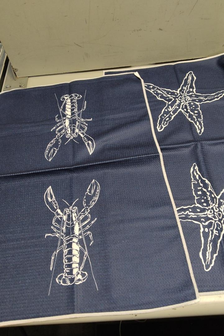 Shiviody Ocean Marine Kitchen Towels - Coastal Beach Dish Towels, Sea Nautical Starfish Crayfish Decorative Absorbent Dishcloths Hand Towels Set of 2 for Beach House Bathroom Decor 16x24 Inches