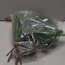 12Pcs Realistic Norfolk Pine Branches -18Inch Artificial Real Touch Christmas Pine Stems Picks Greenery Fake Cedar Pine Branch for Vase DIY Crafts, Xmas Indoor Outdoor Home Decor