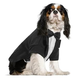 Queenmore Formal Dog Outfit for Wedding, Pet Tuxedo with Tie, Cat Costume (Black, M)