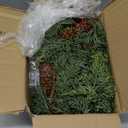 6 FT Christmas Cedar Garland, Real Touch Soft & Thickness Greenery Pine Garland with Lights Battery Operated for Mantle Table Fireplace Outdoor Indoor Christmas Decor