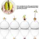 Avocado Tree Growing Kit,Avocado Seed Starter Vase,Glass Plant Pot with Avocado Stickers,Plant Indoor Grow Gardening Gifts