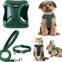 GAMUDA Small Pet Harness Collar and Leash Set, Step in No Chock No Pull Linen Fabric Soft Mesh Dog Vest Harnesses Reflective for Dogs Puppy Cats Kitten Rabbit (Green, XS)