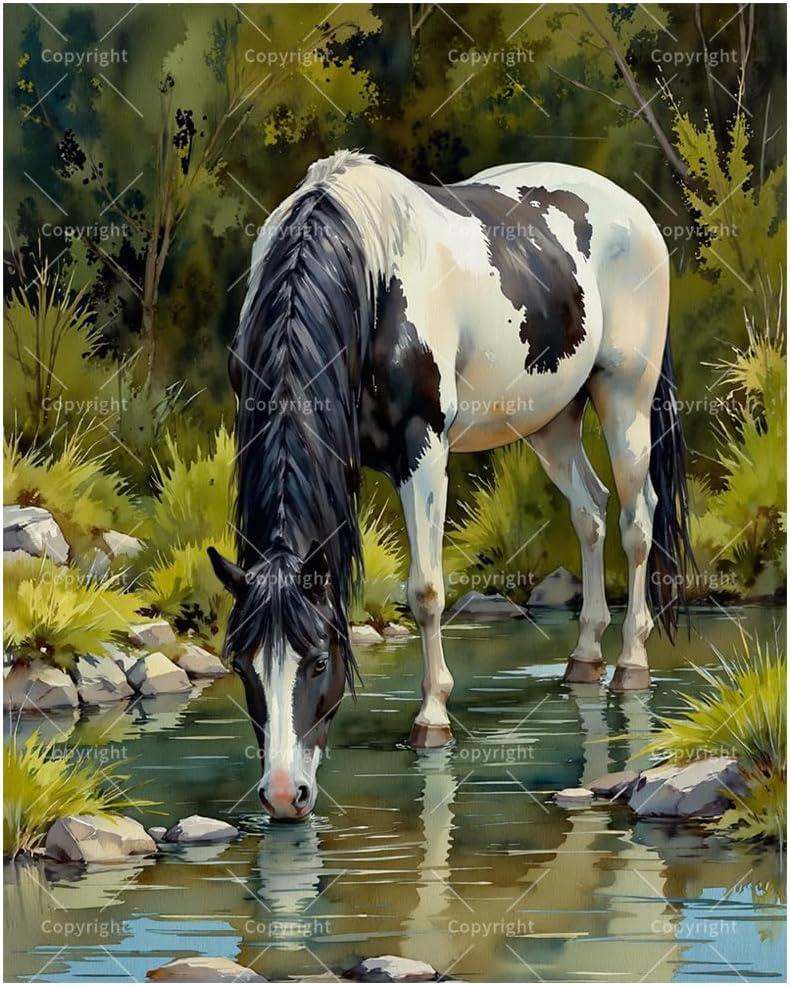 Animal Paint by Numbers Kit for Adults - DIY Horse at Forest Stream Painting on Canvas, Acrylic Paint Set, Suitable for Beginners, Art for Home Decoration or Gifts(8X12IN Framed)