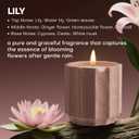 Scented Candles Set for Home, Natural Soy Wax Candle Gift, Non-Toxic Cement Jar Candles, Luxury Aromatherapy for Stress Relief, Highly Scented, Gifts for Women and Men (Lily)