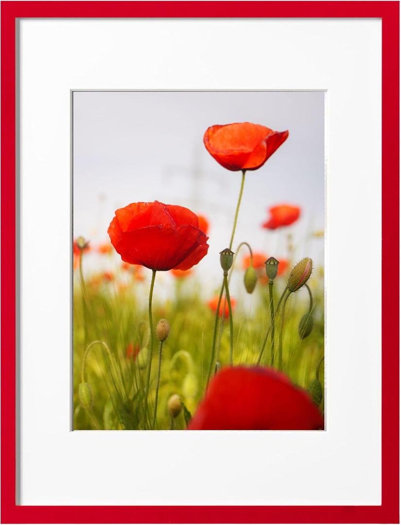 eletecpro 16x20 Picture Frame, Display Picture 11x14 with Mat or 16x20 No Mat, Red Christmas Frame Made of Engineered Wood and Clear Acrylic, Large Poster Frame for Gallery Wall Decor