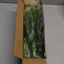 Artificial Lavender Plants with Mixed Color Flowers, 20 Bundles, Outdoor Decorative Grass