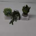 Winlyn 3 Pcs Small Potted Plants Artificial Succulents Hanging Plants and Faux Tropical Snake Plant in Black Geometric Pots for Modern Home Kitchen Windowsill Table Shelf Indoor Outdoor Greenery Decor