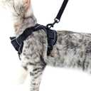 Cat Harness and Leash Set Escape Proof Tactical Large Kitten Harness Emotional Support Cat Vest, Black, L