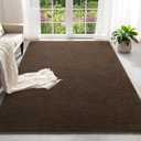 4x6 Feet Brown Area Rugs for Bedroom, Indoor Washable Memory Foam Rug for Living Room, Modern Aesthetic Minimalist Non-Slip Carpets for Kids Boys Girls Adults Dorm Home Decor