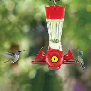 Perky-Pet 204CP-4 Favored Pinch-Waist Glass Hummingbird Feeder with Built-in Ant Moat and Bee Guards - 16 oz