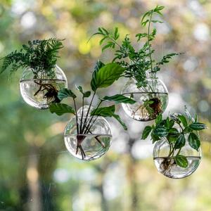 4 x Window Propagation Stations, Oblate Glass Terrariums Planter with Suction Cup Hook, Wall Hanging Planters for Hydroponics Plants, Home, Office, Bathroom, Living Room Decor, Gift for Plant Lovers (4)