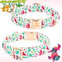 Lionheart glory Dog Collar, Cute Dog Bow Collar Boy Girl Dog Collars with Bow Adjustable Dinosaur Bowtie Collar for Medium Dogs Pet Gift Spring Summer Collars (Medium (Pack of 1)