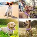 Wisedog Waterproof Dog Collar with Airtag Holder, Adjustable Soft Rubber Coated Webbing, Odor-Proof and Easy to Clean for Small Medium Large Dogs(S|8.5"-12.5" 4/5 in, Lilac)