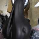 YOSUDA Exercise Bike, Brake Pad Stationary Bike for Home with Exclusive App, Magnetic Indoor Cycling Bike with 300 lb Weight Capacity, Low Noise, Tablet Holder and Fitness Courses for Weight Loss (Friction-Black)