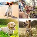 Wisedog Waterproof Dog Collar with Airtag Holder, Adjustable Soft Rubber Coated Webbing, Odor-Proof and Easy to Clean for Small Medium Large Dogs(M|12"-16" 4/5 in, Sand Color)