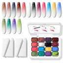 Sponge Pat Paint Nail Gel, Ombre Nails Gradient Gel Nail Blush Blooming Aura Nails Drawing Stripper Floral Painting DIY Nail Art, No Wipe, UV/LED Curing (16 Colors B)