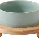 Havniva Ceramic Elevated Cat Food and Water Bowl, Kitty Bowl, Raised Cat Dish, Pet Feeder (5.1 in,1 x Light Green + Stand)