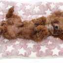 Double Sided Dog Blanket for Dogs & Cats Flannel Reversible Cat Blanket Fluffy Calming Pet Throw Blanket Washable Pet Mat for Bed, Couch, Sofa, Travel (Color : Pink White Star Single Side, Size : La