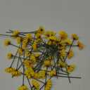 50 Pcs Mini Artificial Sunflower Heads with Iron Stems for Home Party Decoration Wedding Decor, Bride Holding Flowers Centerpieces Wreath Garden DIY Art Decor Crafts(1.57 Inch)