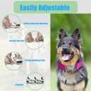 Prong Training Collar for Dogs, Adjustable Dog Training Pinch Collar with Quick Release Buckle, No Pull Collar for Medium Large Dogs, Extra Link and Caps (Pink, M/ L(17-23" Neck, 3.2mm))