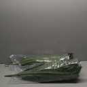 WAYNHUI Silky Artificial Boston Fern Bush, 48Inch Artificial Plants, Suitable for Decorating Office, Patio, Living Room Faux Greenery, 88Branches (88 Branches 2pack)