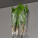 6PCS Artificial Tropical Green Plants 15.75" Fake Hostas Outdoor Artificial Plants, UV Resistant, Faux Green Leaf Stems for Porch, Patio, Balcony, Garden Planter or Indoor Dcor