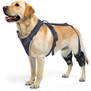 ELEGX Dog Knee Brace for Torn ACL & Hind Leg Support with Side Stabilizers Adjustable Dog Hip & Leg Brace with Handle for Cruciate Ligament, Arthritis Relief, Joint Stability & Injury Recovery, M (Black)