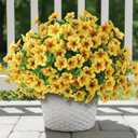 VIERENA 24 Bundles Artificial Flowers and Eucalyptus for Outside, Sun Resistant Silk Fake Morning Glory with Faux Eucalyptus Plants for Garden Porch Farmhouse Home Spring Summer Decor (Yellow)