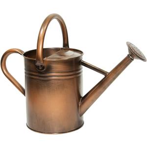 Yourjoy Galvanized Metal Watering Can, One Gallon Watering Cans for Outdoor Indoor Garden Plants Watering with Luminous Panit (Retro Coppery)