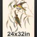 24x32 Poster Frame Black with Black Back Board, Curved Extra Wide Edges, Vintage Style Poster Frame 24x32 for Wall Decor.