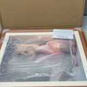 Art Shoppe Framed Print Wall Art, Vintage Wall Dcor for Living Room, Bedroom, Office, High-Resolution Image on Premium Art Paper, 3/4" Frame with Plexiglass Front, Ready to Hang, 17"x21" (Brown Foals)