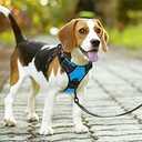 PoyPet No Pull Dog Harness, No Choke Front Lead Dog Reflective Harness, Adjustable Soft Padded Pet Vest with Easy Control Handle for Small to Large Dogs(Blue,S)