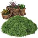 NUOBESTY Faux Moss for Plants Indoor Artificial Green Moss 4.72X4.72 Inch Maintenance-Free Planter Decor for Fairy Garden Wedding Table Centerpiece