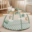 Blissful Diary Baby Play Gym Mat, Play Mat Activity Mat with 6 Detachable Toys for Stage-Based Sensory & Motor Skill Development, Easy to Install & Clean, Baby Essentials Gift, Sage Checkerboard