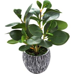 AlphaAcc Artificial Plants Real Looking and Touching Fake Plant Evergreen Plastic Fiddle Leaf Fig Plant with Rustic Black Cement Planter for Housewarming Office Desk Decor