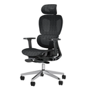 Ergonomic Mesh Office Chair with 3D Adjustable Armrest,Plastic Frame High Back Desk Computer Chair Ergo3d Ergonomic Office Chair with Wheels for Home & Office Black